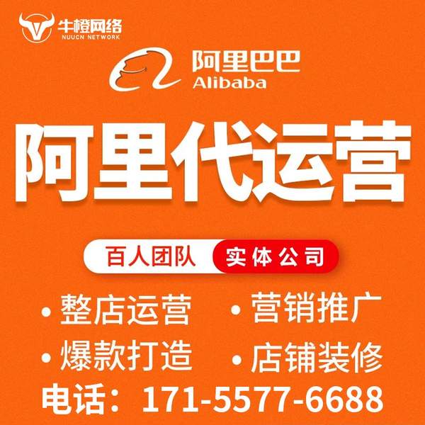 南阳电商代运营