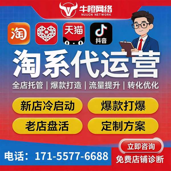 南阳电商代运营
