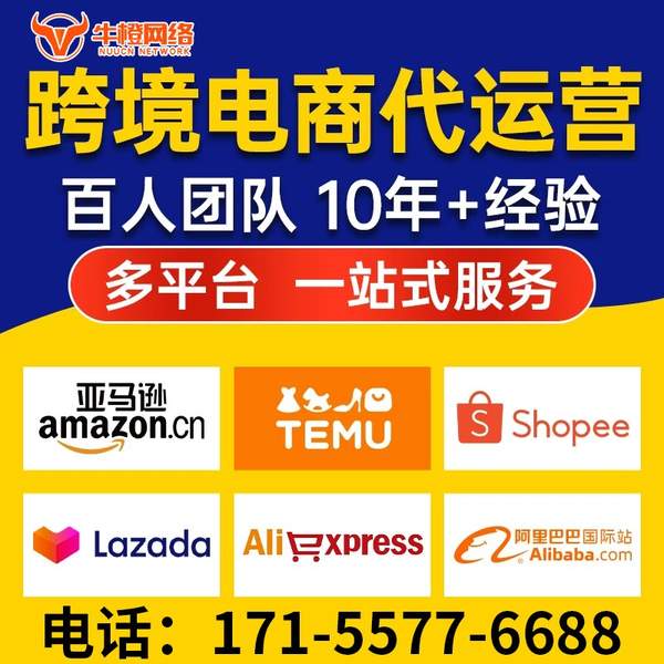 南阳电商代运营