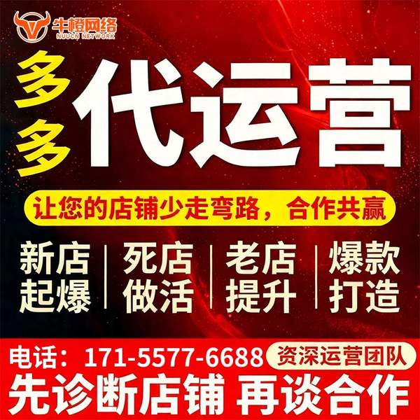 南阳电商代运营