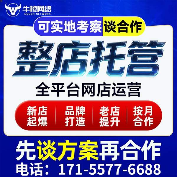 南阳电商代运营