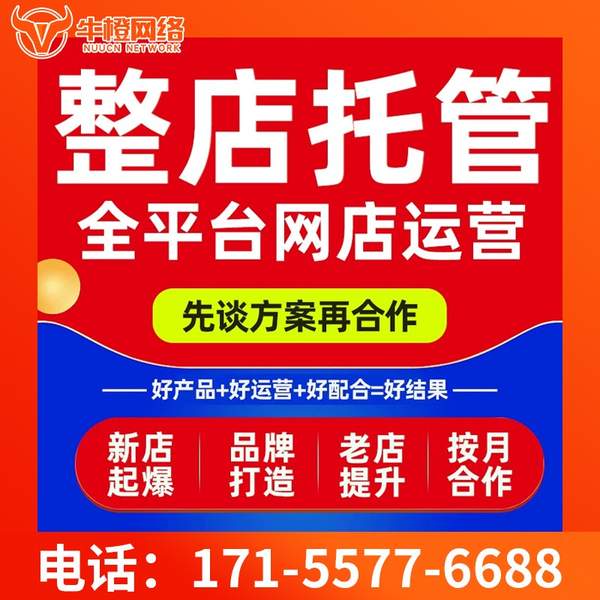 南阳电商代运营