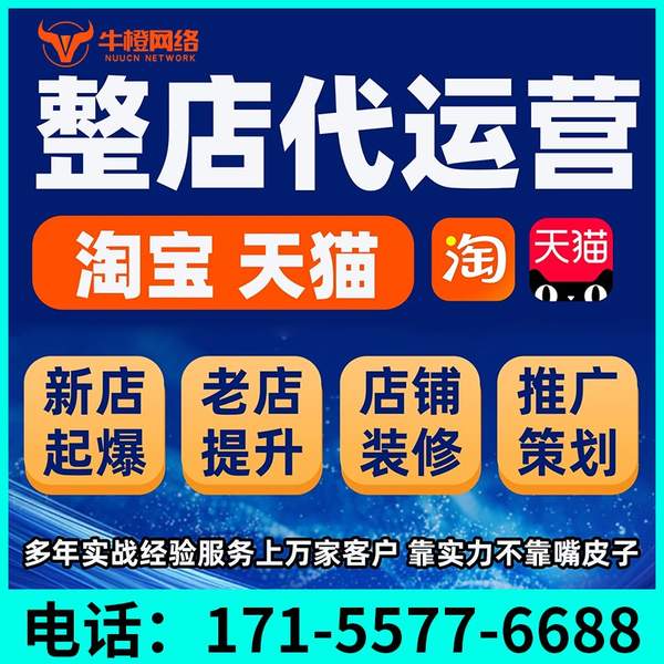 南阳电商代运营
