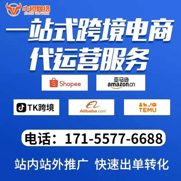 南阳电商代运营