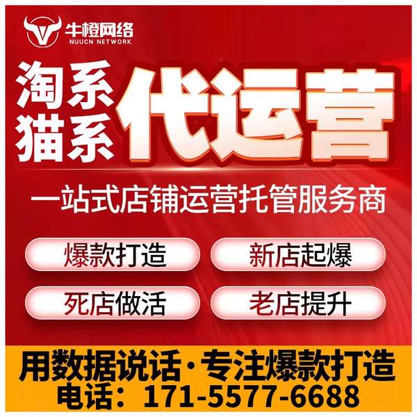 南阳电商代运营